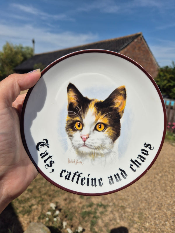 Cats, caffeine and chaos plate