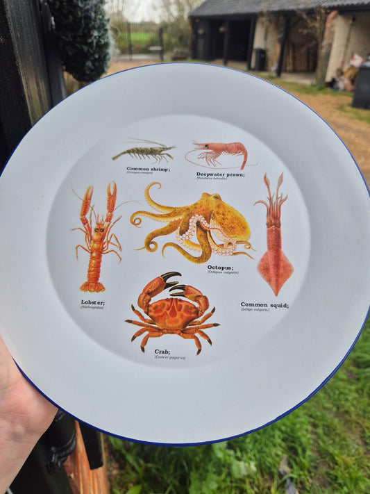 Sea creatures plate