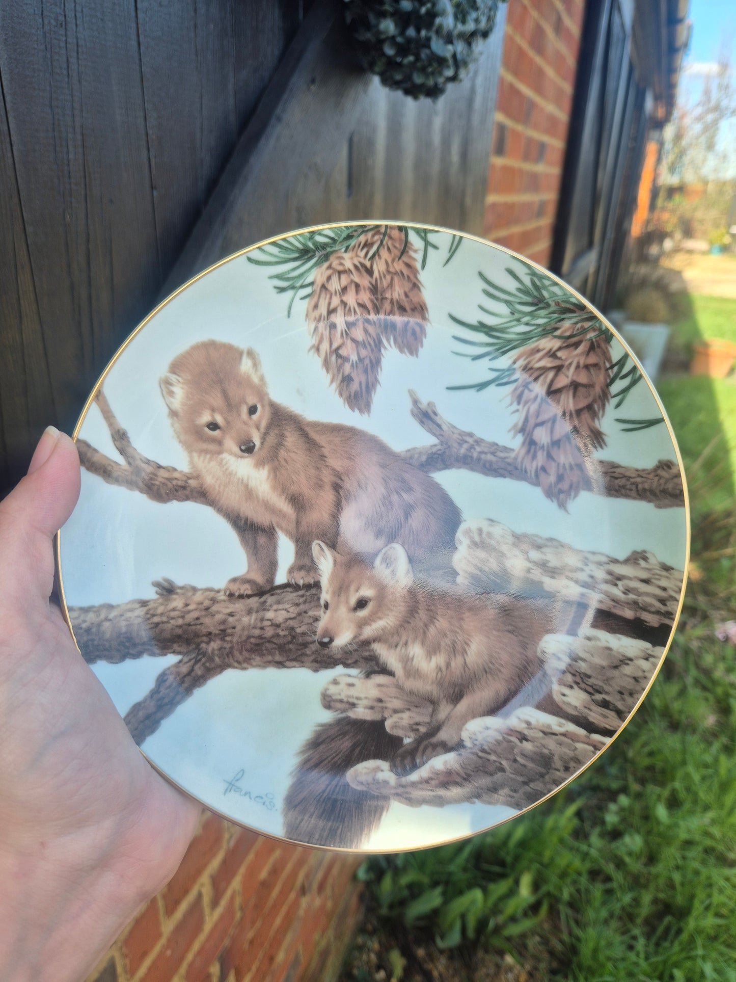 Pine martens plate