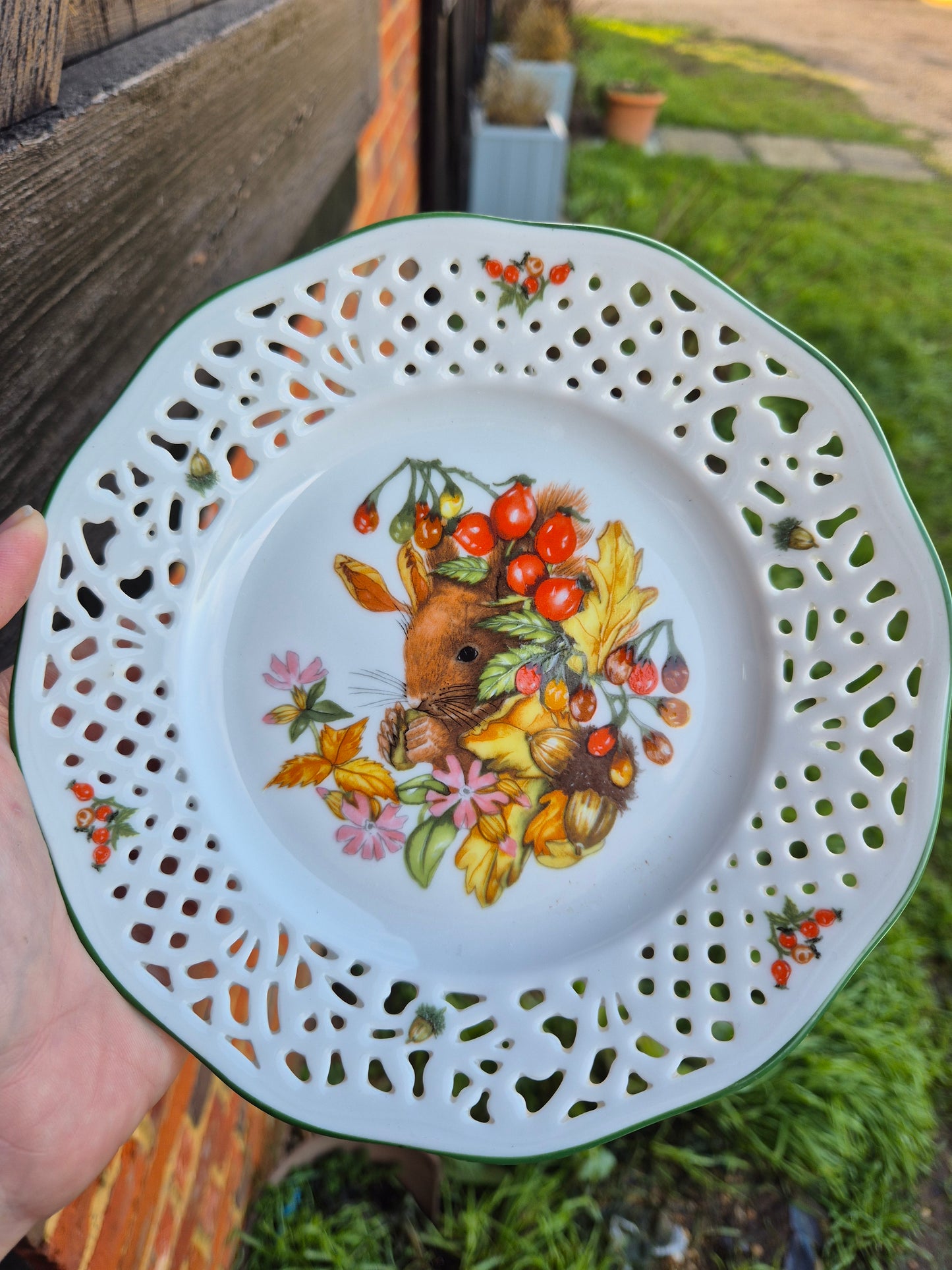 Squirrel lace lattice plate