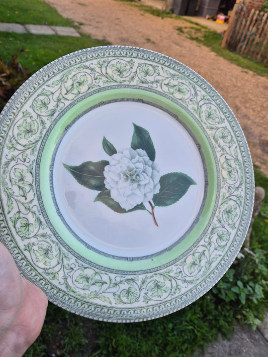 Green floral plate