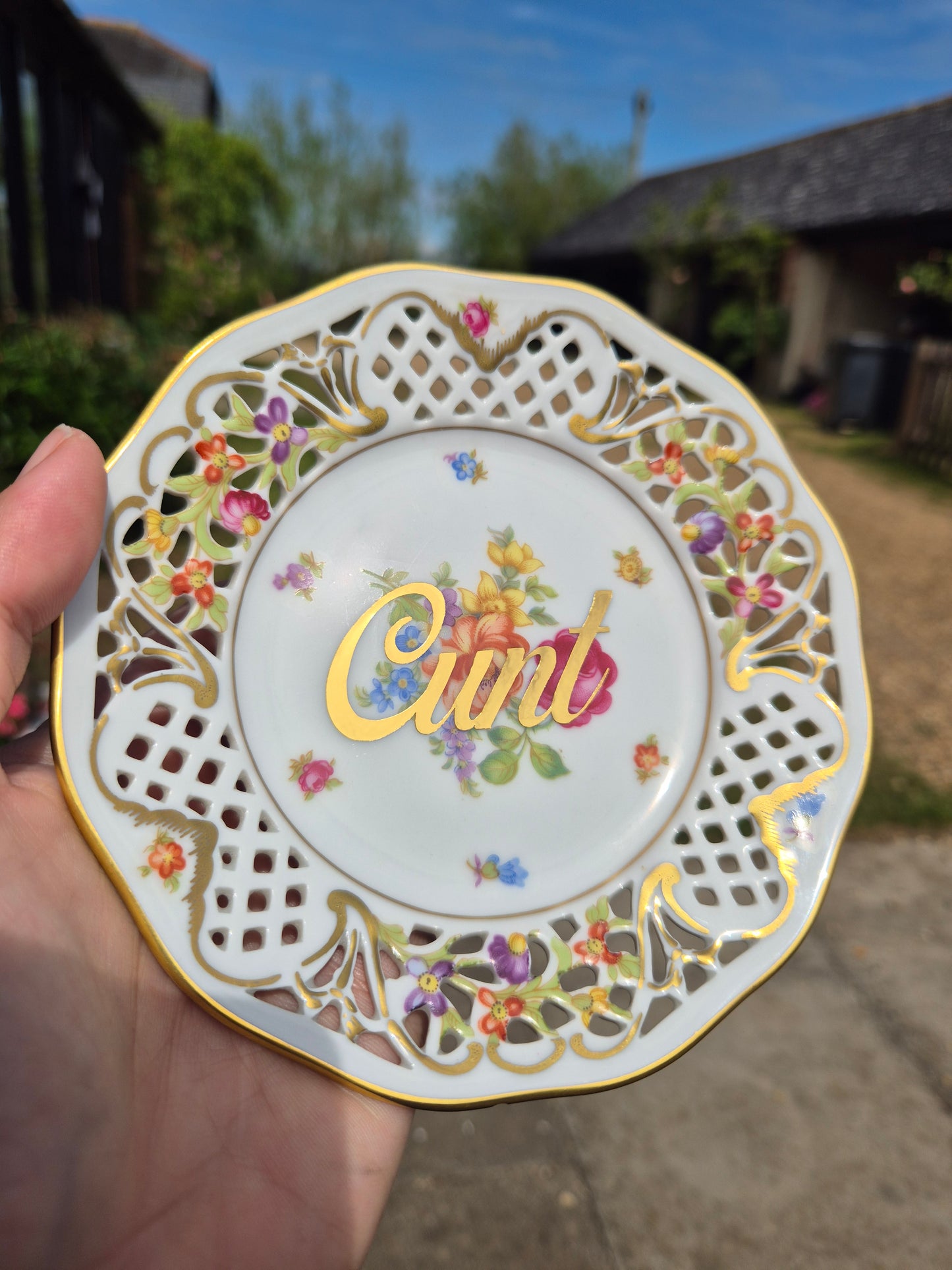 Cunt mini plates
