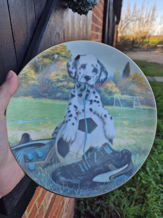 Football dalmatian plate