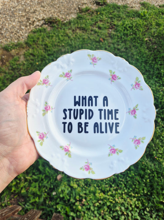 What a stupid time to be alive side plate