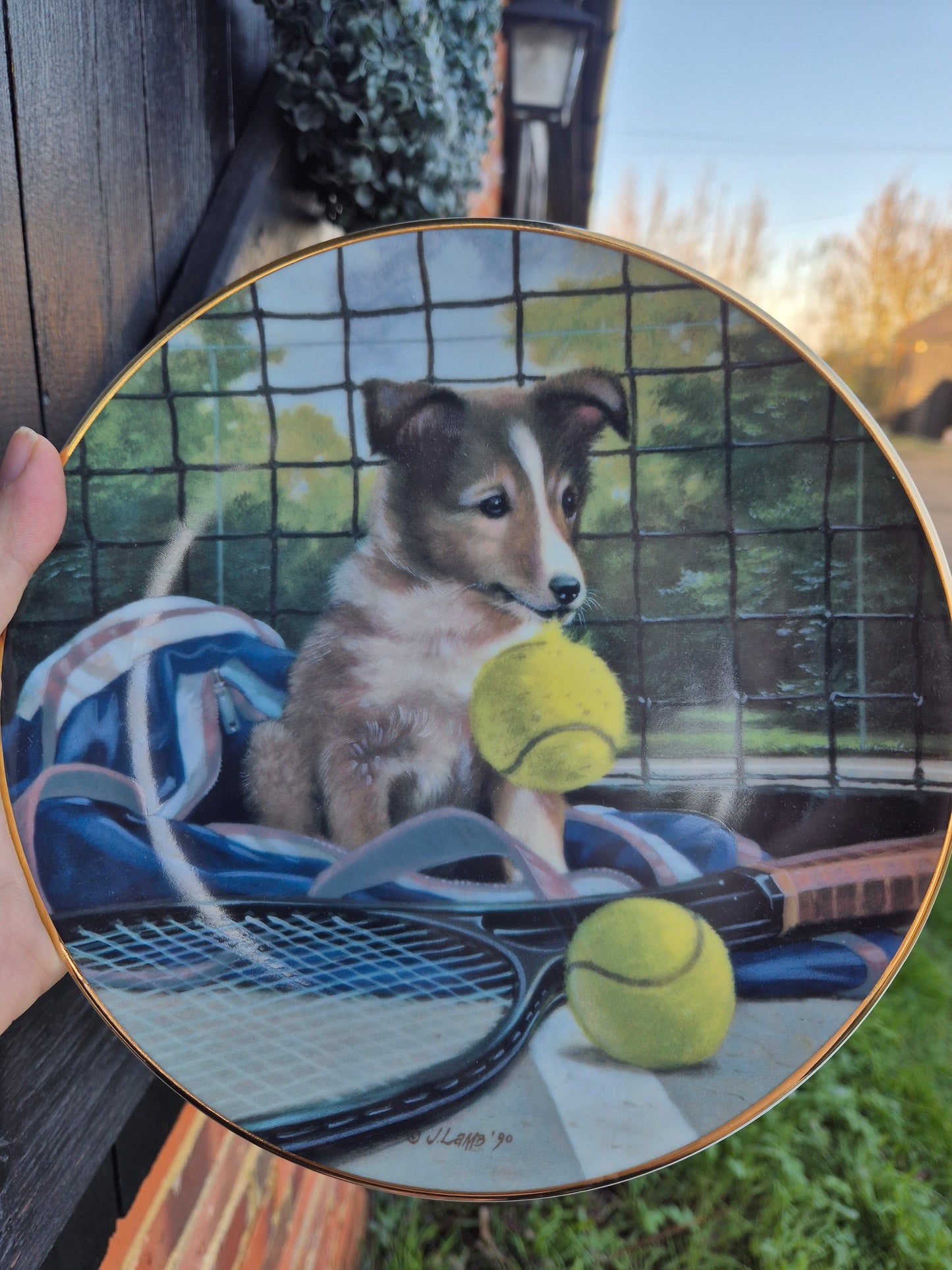 Tennis puppy plate