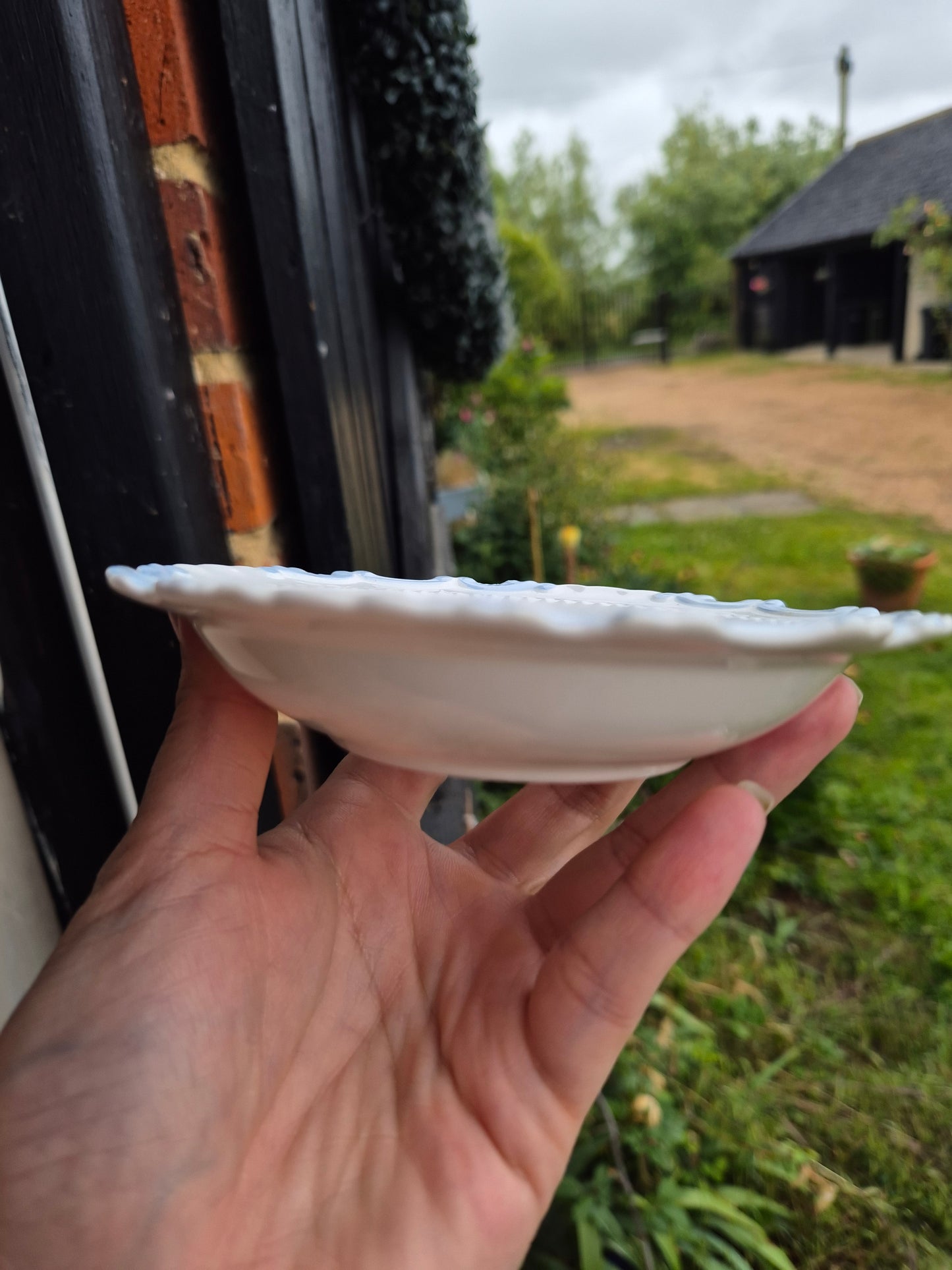 Small cunt dish