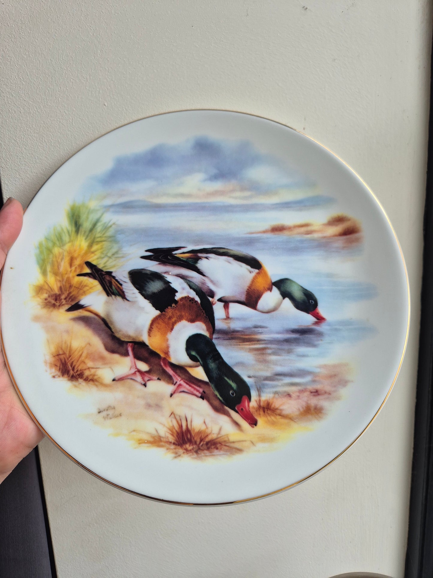 Ducks plate