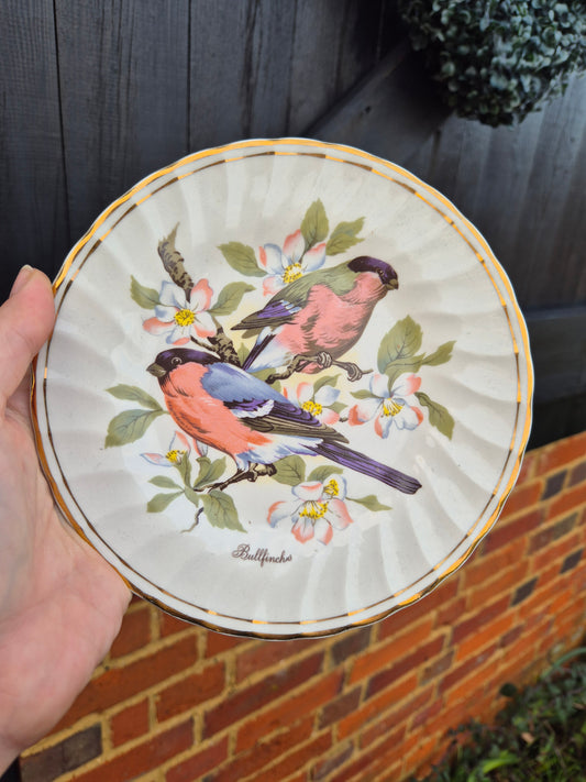 Bullfinches plate
