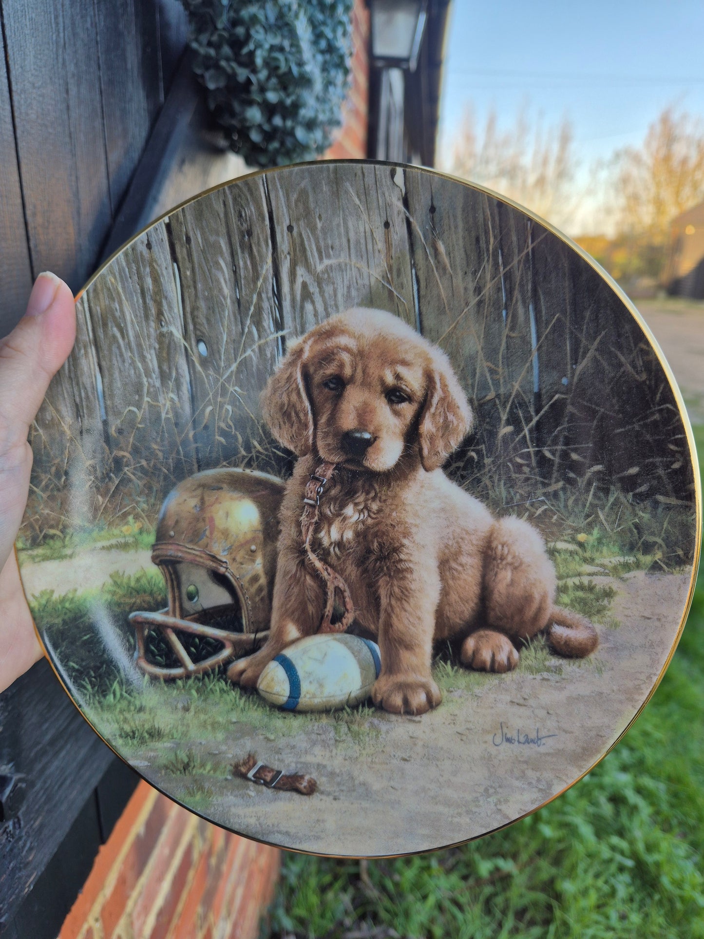 American football puppy plate