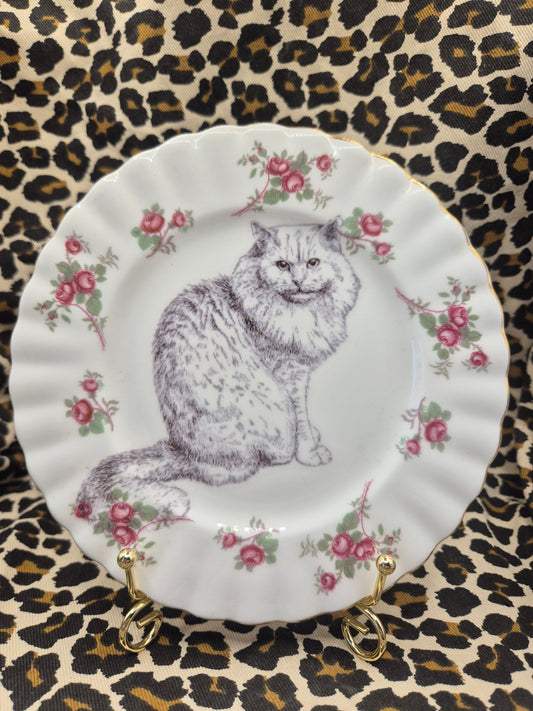 Fluffy cat floral side plate