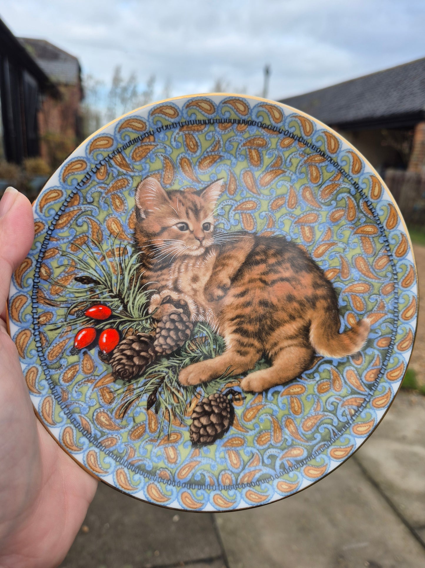 Kitten with pinecones