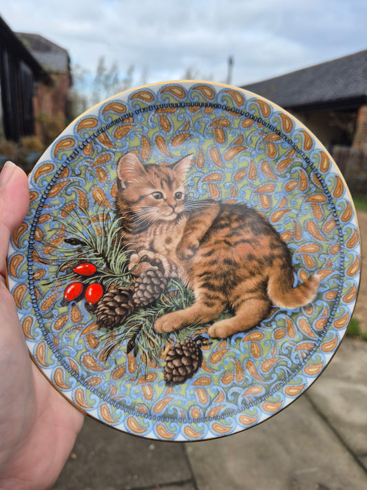 Kitten with pinecones