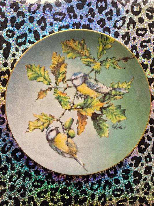Blue tits plate