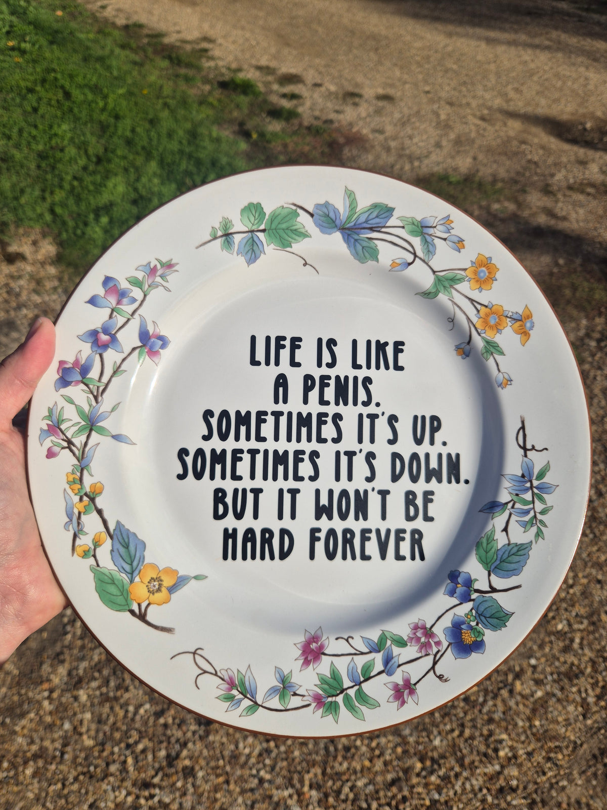 Life is like a penis large plate